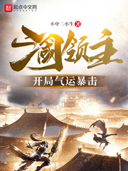 三国领主:开局气运暴击